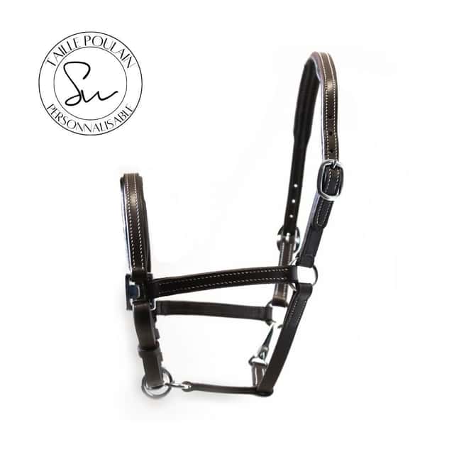 Licol personnalisable poulain en cuir Little