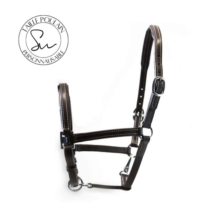 Licol personnalisable poulain en cuir Little