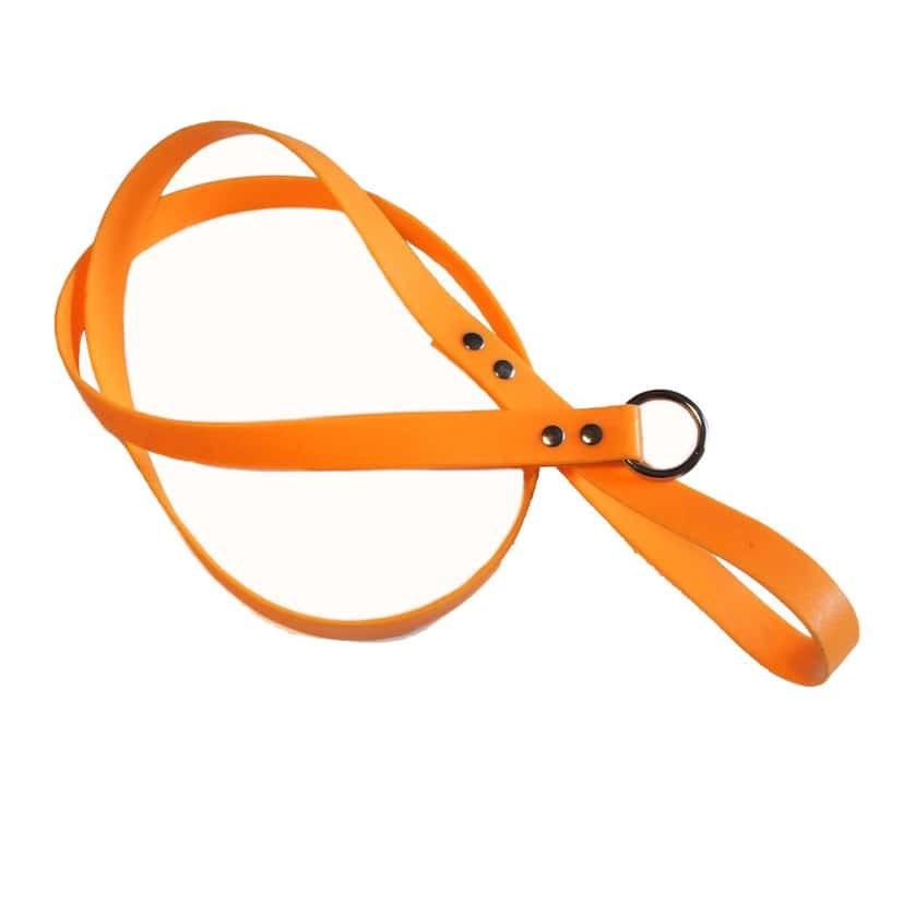 Laisse Fluo Bio