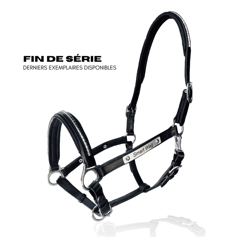 Licol personnalisable en cuir Clinsher