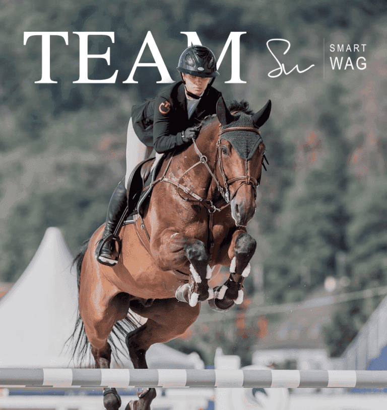 Cavalier de l'équipe Smart Wag franchissant un obstacle en concours