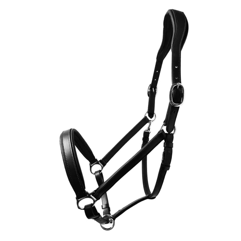 Licol personnalisable en cuir Soul NeckFit