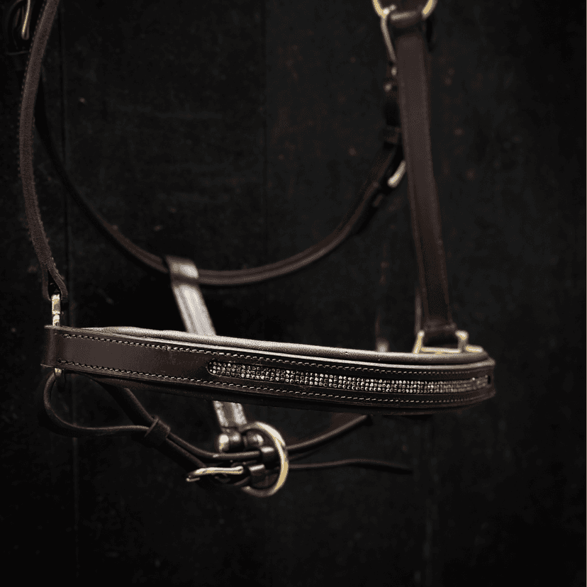 Licol personnalisable en cuir Galaxie
