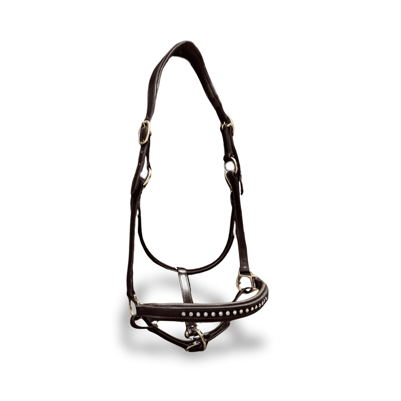 Licol personnalisable en cuir Stellar