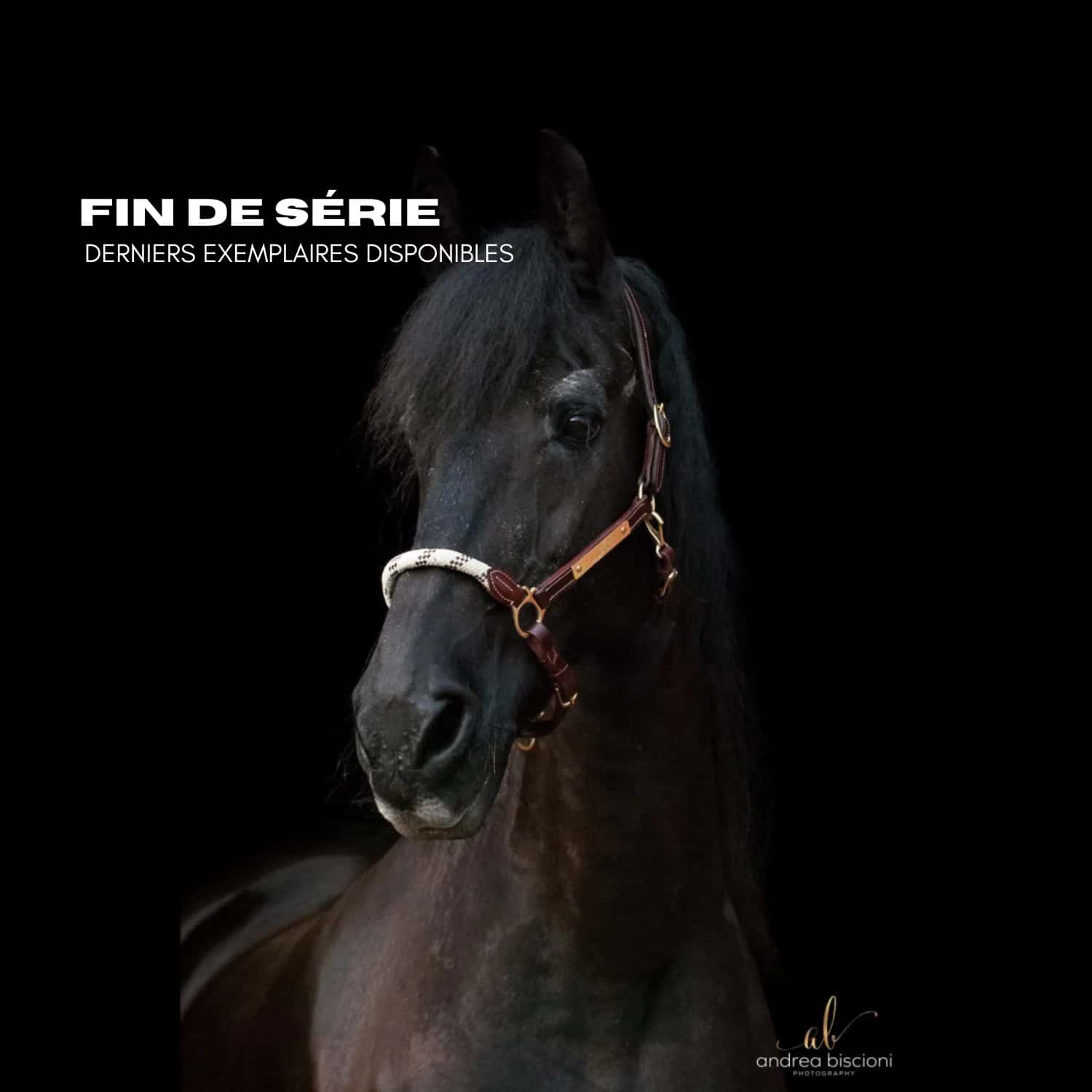 Licol cheval personnalisable en cuir marron et corde avec plaque gravée et têtière doublée