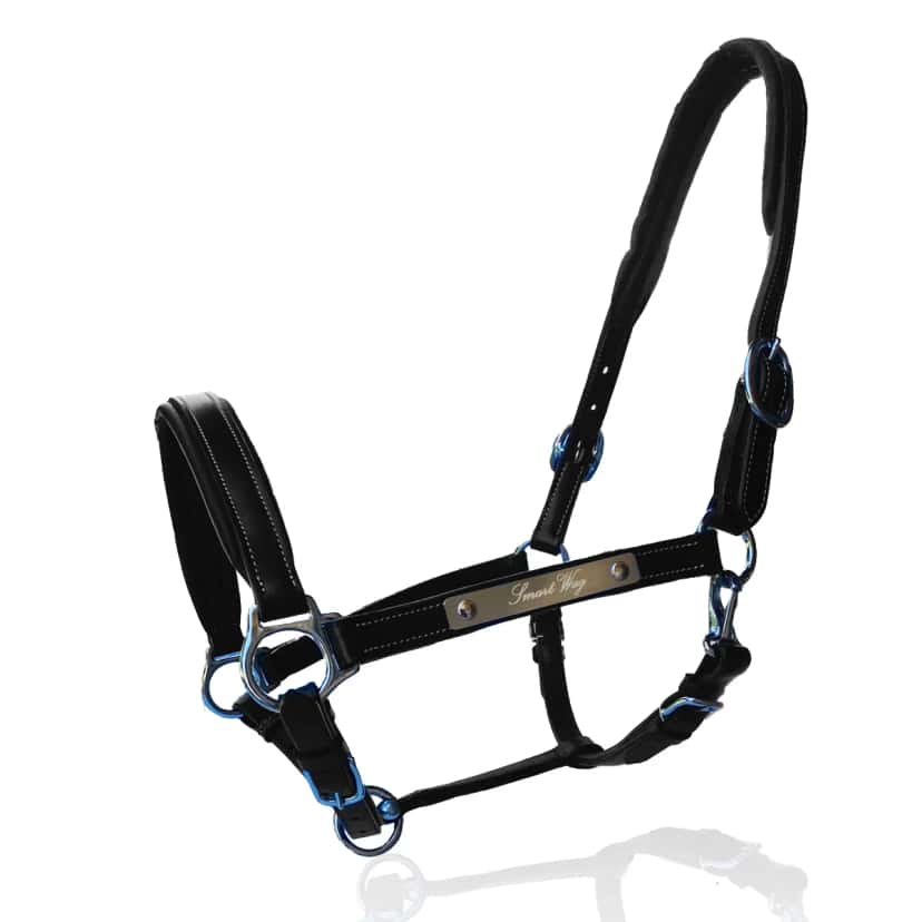 Licol personnalisable en cuir Soul