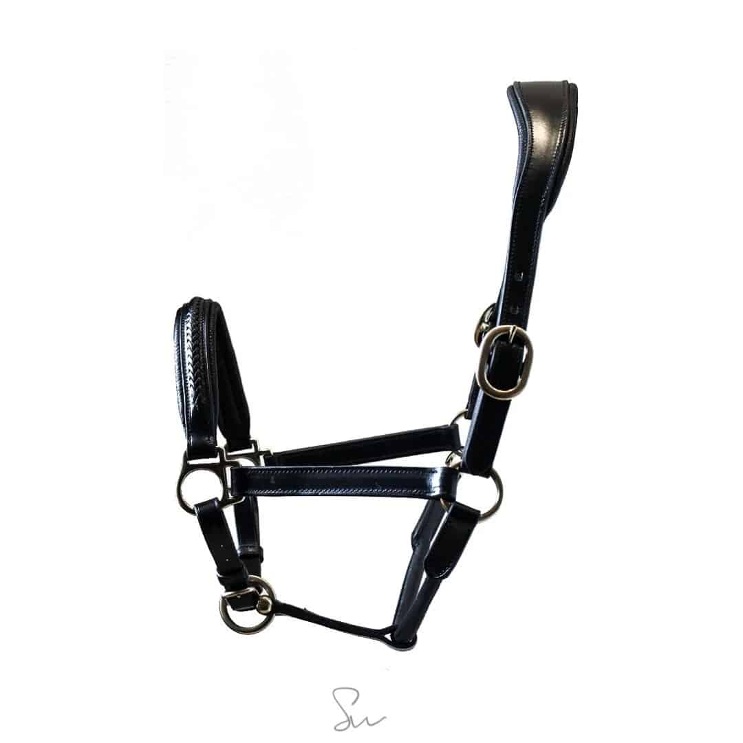 licol cuir personnalisable