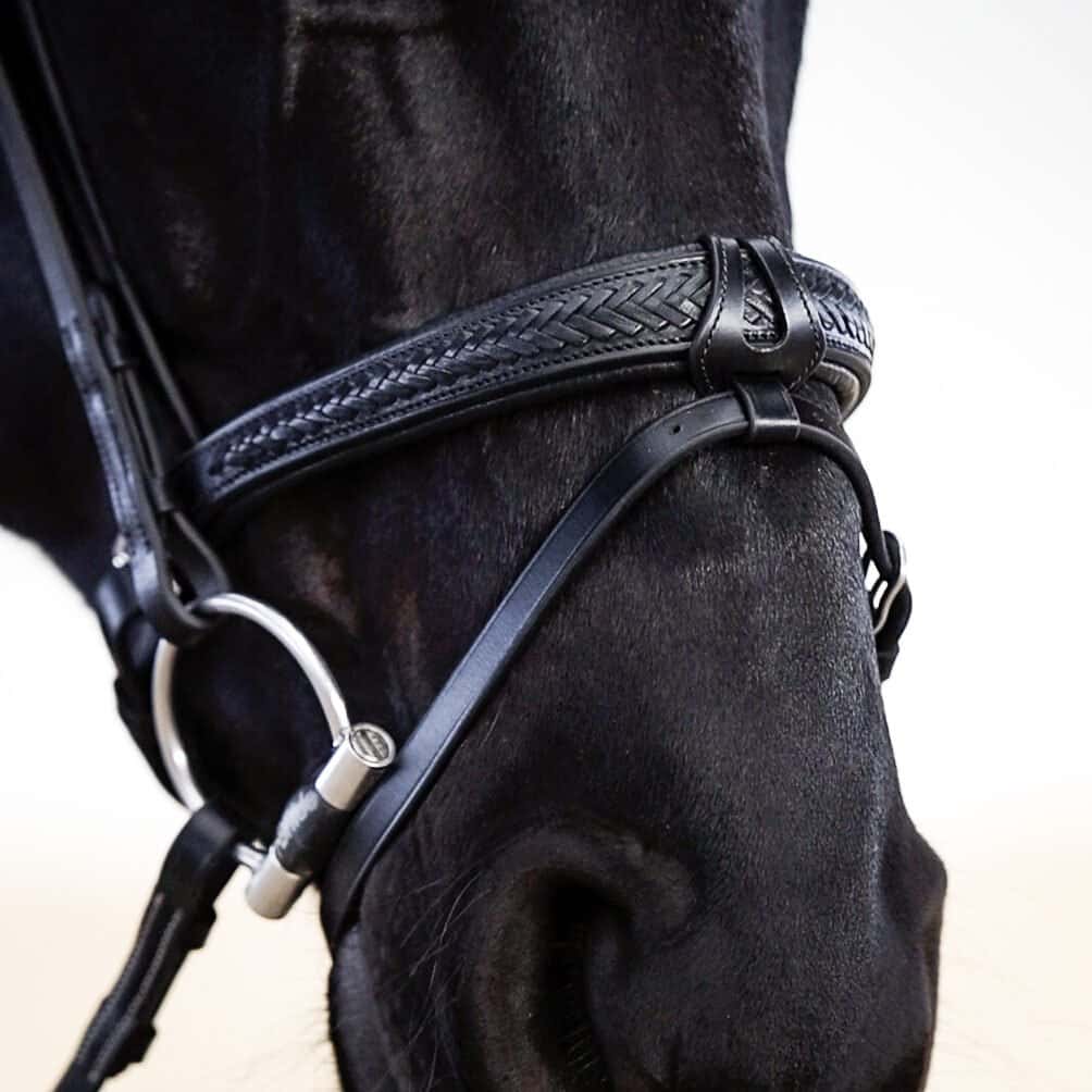 Ajuster parfaitement l’equipement equestre : 10 points de controle