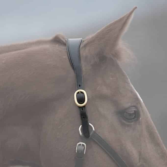 Têtière anatomique en cuir - Pièce détachée