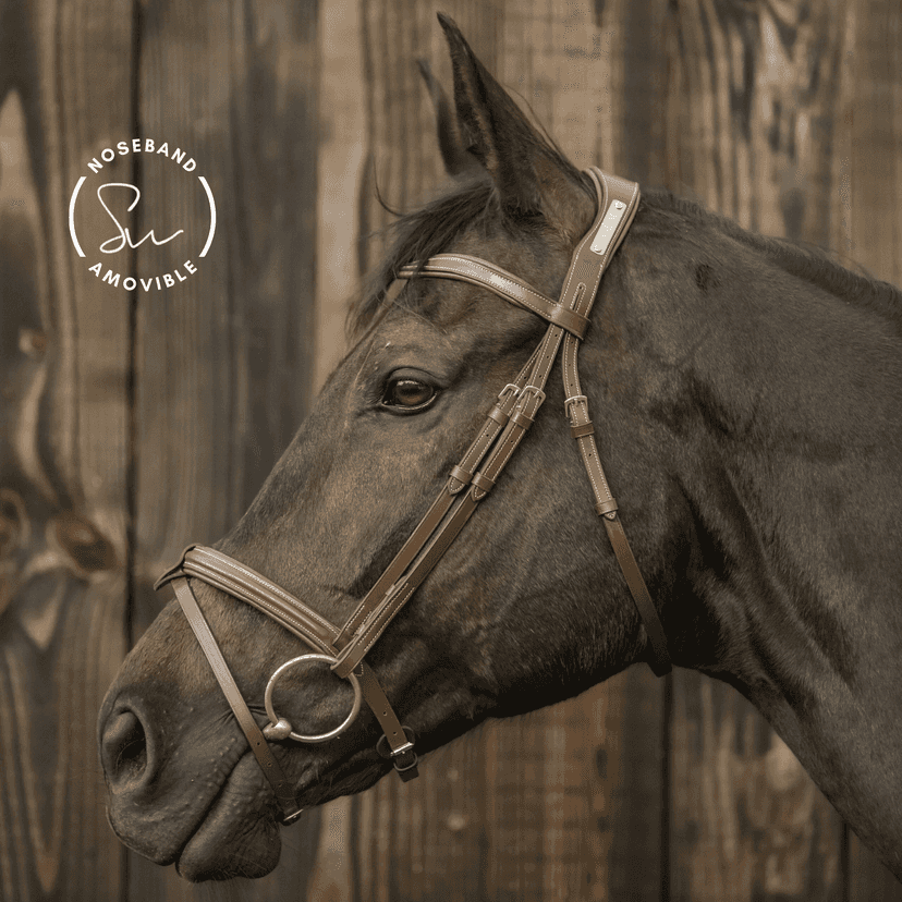 Bridon personnalisable New Soul
