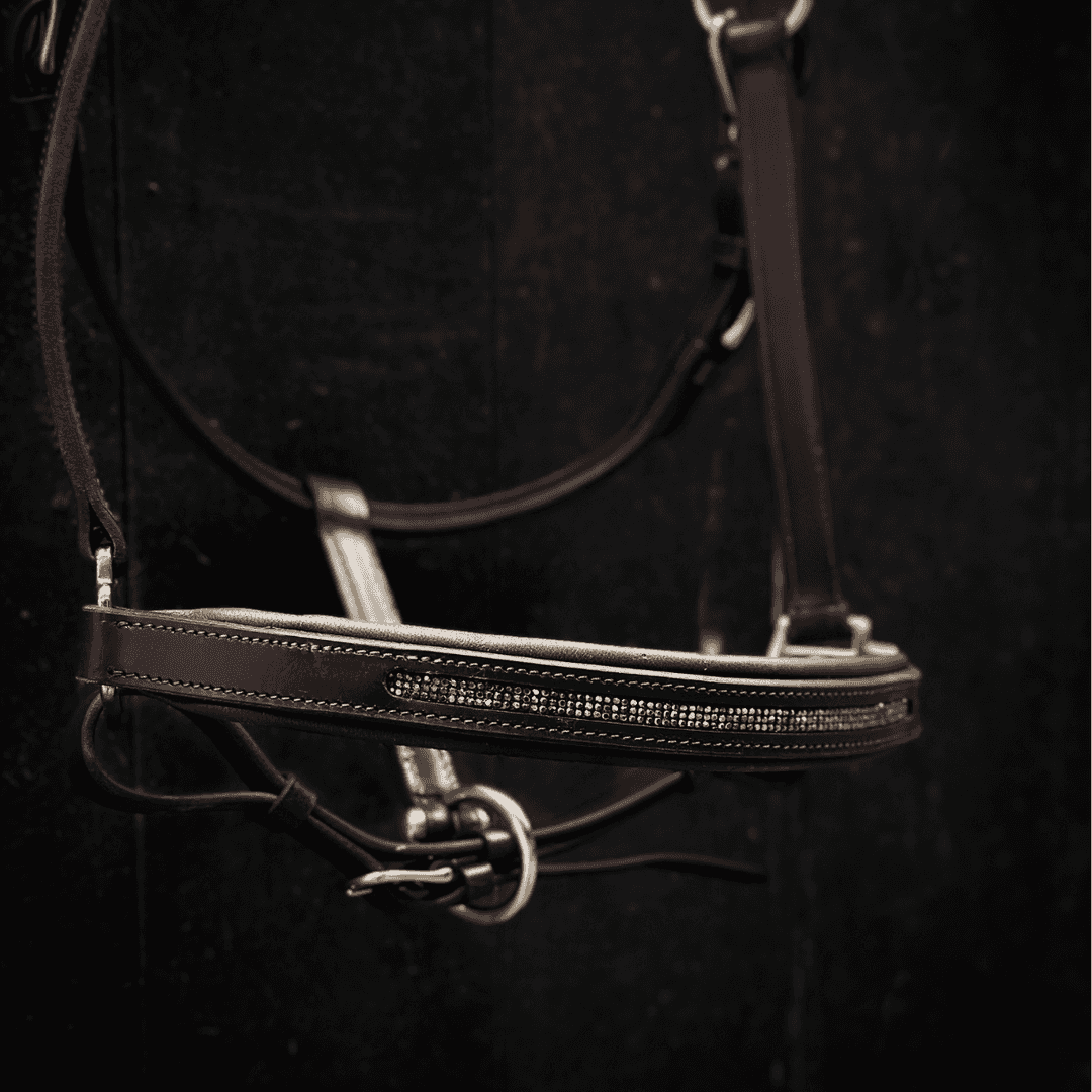 Licol personnalisable en cuir Galaxie