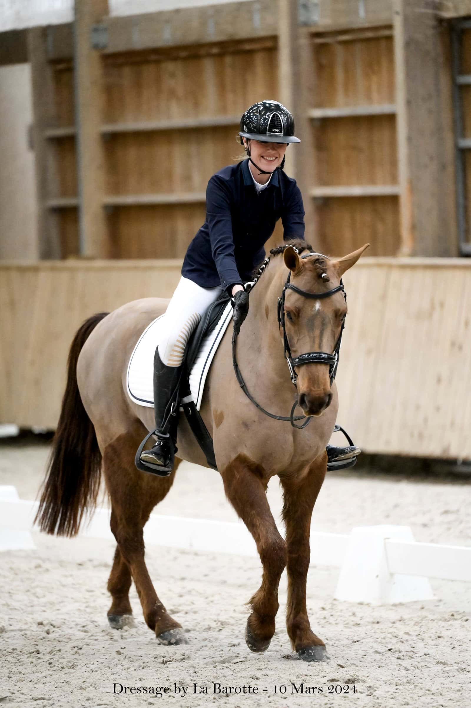 Bride, bridon et équipement sans mors en dressage : les réglementations FFE et FEI en 2026