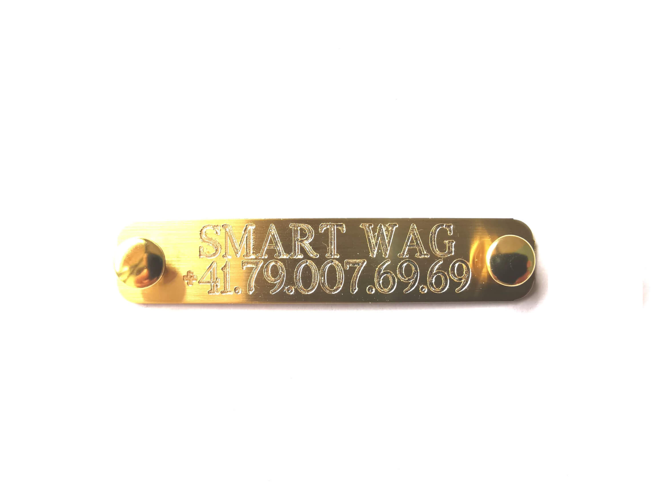 Plaque à graver 60mm x 12mm - Smart Wag