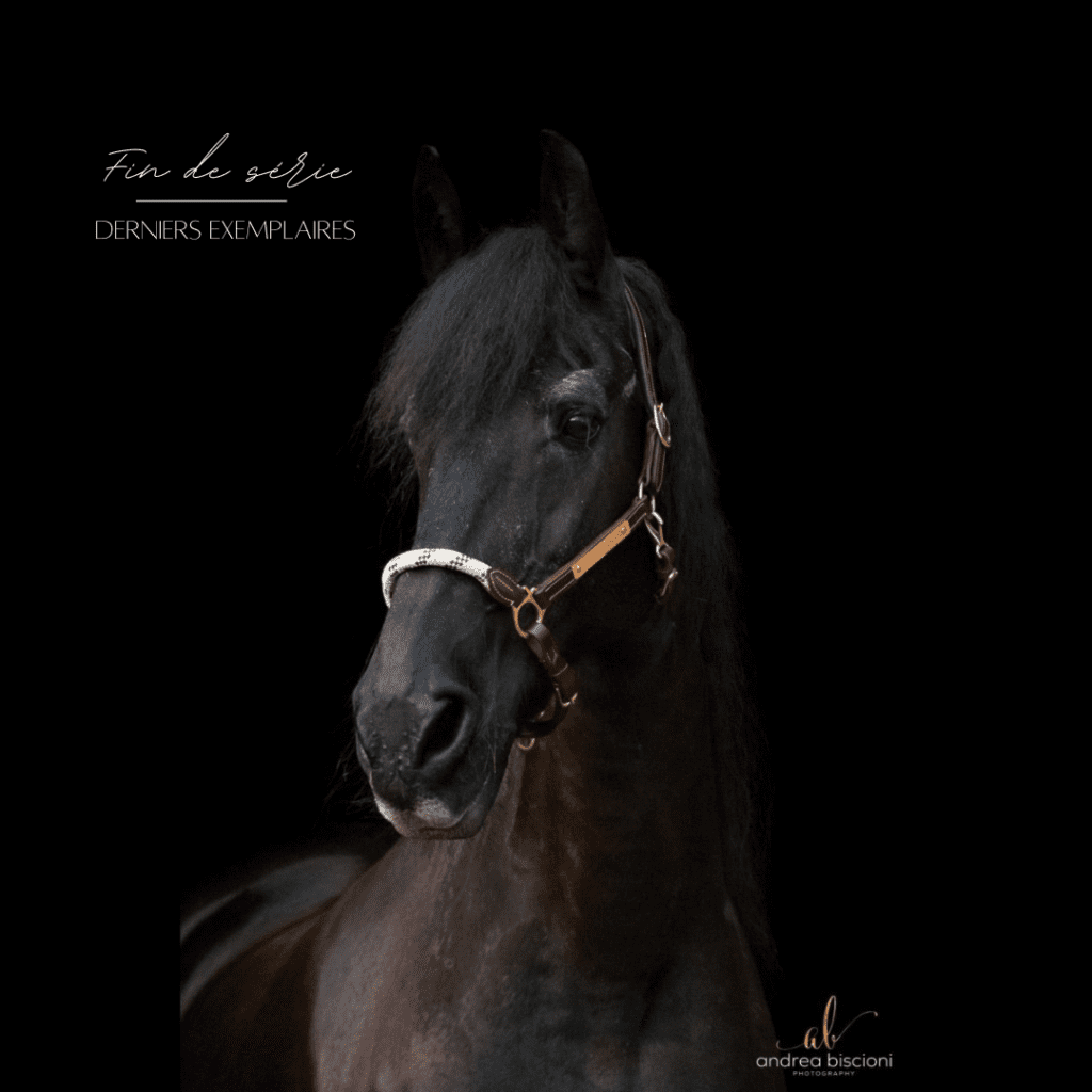 LICOL en cuir naturel, cousu main, taille cob et autres objets chevaux